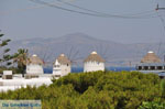 JustGreece.com Mykonos town (Chora) | Greece | Greece  Photo 82 - Foto van JustGreece.com