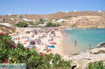 Super Paradise beach | Mykonos | Greece Photo 16 - Photo JustGreece.com