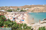 JustGreece.com Super Paradise beach | Mykonos | Greece Photo 16 - Foto van JustGreece.com