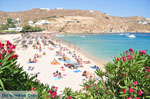 JustGreece.com Super Paradise beach | Mykonos | Greece Photo 18 - Foto van JustGreece.com