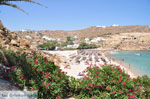 JustGreece.com Super Paradise beach | Mykonos | Greece Photo 20 - Foto van JustGreece.com