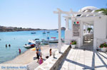 JustGreece.com Platis Gialos Mykonos | Greece | Greece  Photo 3 - Foto van JustGreece.com