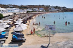 JustGreece.com Platis Gialos Mykonos | Greece | Greece  Photo 4 - Foto van JustGreece.com