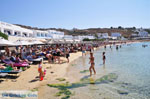 JustGreece.com Platis Gialos Mykonos | Greece | Greece  Photo 13 - Foto van JustGreece.com