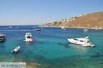 JustGreece.com Psarou beach Mykonos | Psarou beach | Greece  Photo 2 - Foto van JustGreece.com