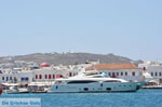 Mykonos The harbour of | Greece | Greece  Photo 3 - Photo JustGreece.com