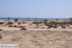 Agios Prokopios beach | Island of Naxos | Greece | Photo 1 - Photo JustGreece.com