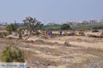 Agios Prokopios beach | Island of Naxos | Greece | Photo 30 - Photo JustGreece.com