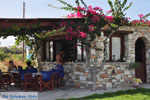 Colosseo Star | Island of Naxos | Greece | Photo 2 - Photo JustGreece.com