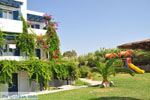 Colosseo Star | Island of Naxos | Greece | Photo 4 - Photo JustGreece.com