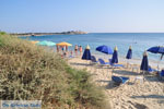 JustGreece.com Agia Anna | Island of Naxos | Greece | Photo 13 - Foto van JustGreece.com