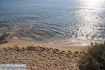 JustGreece.com Agia Anna | Island of Naxos | Greece | Photo 14 - Foto van JustGreece.com