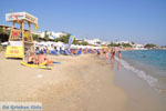 JustGreece.com Agia Anna | Island of Naxos | Greece | Photo 16 - Foto van JustGreece.com