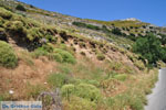 JustGreece.com Apiranthos | Island of Naxos | Greece | Photo 4 - Foto van JustGreece.com