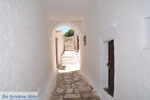 JustGreece.com Apiranthos | Island of Naxos | Greece | Photo 19 - Foto van JustGreece.com