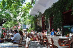 Filoti | Island of Naxos | Greece | Photo 5 - Photo JustGreece.com