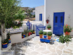 Lefkes Paros | Cyclades | Greece Photo 29 - Photo JustGreece.com