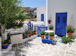 JustGreece.com Lefkes Paros | Cyclades | Greece Photo 29 - Foto van JustGreece.com