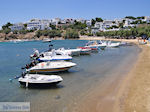 JustGreece.com Piso Livadi Paros | Cyclades | Greece Photo 9 - Foto van JustGreece.com