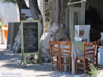 JustGreece.com Drios (Dryos) Paros | Cyclades | Greece Photo 5 - Foto van JustGreece.com