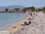 Somewhere between Farangas and Aliki | Paros Cyclades | Greece Photo 3 - Photo JustGreece.com