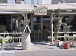 Restaurant Elaia Parikia Paros | Cyclades | Greece Photo 1 - Photo JustGreece.com