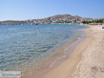 beach Parikia Paros | Cyclades | Greece Photo 4 - Photo JustGreece.com