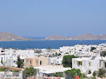 JustGreece.com Naoussa Paros | Cyclades | Greece Photo 2 - Foto van JustGreece.com