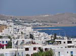 JustGreece.com Naoussa Paros | Cyclades | Greece Photo 5 - Foto van JustGreece.com