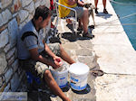 JustGreece.com Naoussa Paros | Cyclades | Greece Photo 40 - Foto van JustGreece.com