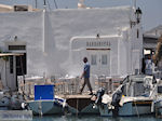 JustGreece.com Naoussa Paros | Cyclades | Greece Photo 44 - Foto van JustGreece.com