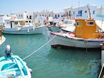 JustGreece.com Naoussa Paros | Cyclades | Greece Photo 53 - Foto van JustGreece.com