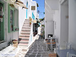 JustGreece.com Naoussa Paros | Cyclades | Greece Photo 70 - Foto van JustGreece.com