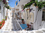 JustGreece.com Naoussa Paros | Cyclades | Greece Photo 74 - Foto van JustGreece.com