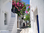 JustGreece.com Naoussa Paros | Cyclades | Greece Photo 76 - Foto van JustGreece.com