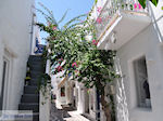Naoussa Paros | Cyclades | Greece Photo 83 - Photo JustGreece.com