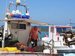Naoussa Paros | Cyclades | Greece Photo 91 - Photo JustGreece.com