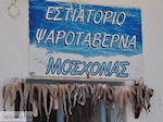 JustGreece.com Naoussa Paros | Cyclades | Greece Photo 94 - Foto van JustGreece.com