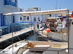 JustGreece.com Naoussa Paros | Cyclades | Greece Photo 95 - Foto van JustGreece.com