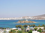 JustGreece.com Naoussa Paros | Cyclades | Greece Photo 106 - Foto van JustGreece.com