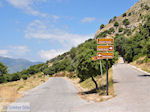 JustGreece.com Tussen the olijfbomen and in the buurt of the Spiliani klooster, the Efpalinos tunnel and the oude theater in Pythagorion - Island of Samos - Foto van JustGreece.com