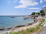 JustGreece.com fishing harbor Heraion (Ireon) - Island of Samos - Foto van JustGreece.com