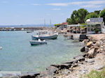 JustGreece.com Bootjes at the small harbour of Heraion (Ireon) - Island of Samos - Foto van JustGreece.com