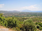 JustGreece.com Olijfgaarden at the vlakte near Pythagorion and Heraion (Ireon) - Island of Samos - Foto van JustGreece.com