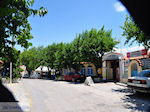 JustGreece.com Taverna Votsalakia in Kampos - Island of Samos - Foto van JustGreece.com