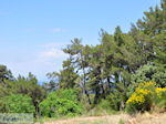 The nature on the hills rond Karlovassi - Island of Samos - Photo JustGreece.com
