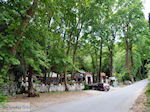 Taverna at the Vallei der Nachtegalen near Agios Konstandinos - Island of Samos - Photo JustGreece.com