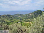 JustGreece.com The groene gebied between Manolates and Agios Konstandinos - Island of Samos - Foto van JustGreece.com