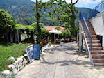 JustGreece.com Een gezellige taverna in Manolates - Island of Samos - Foto van JustGreece.com