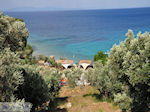 JustGreece.com Tsamadou near Kokkari - Island of Samos - Foto van JustGreece.com